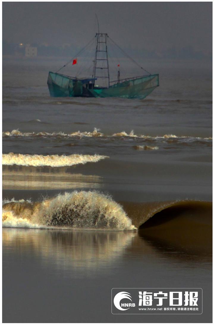 拍钱塘江大潮遭巨浪瞬间吞没,为了拍照被潮水冲走身亡