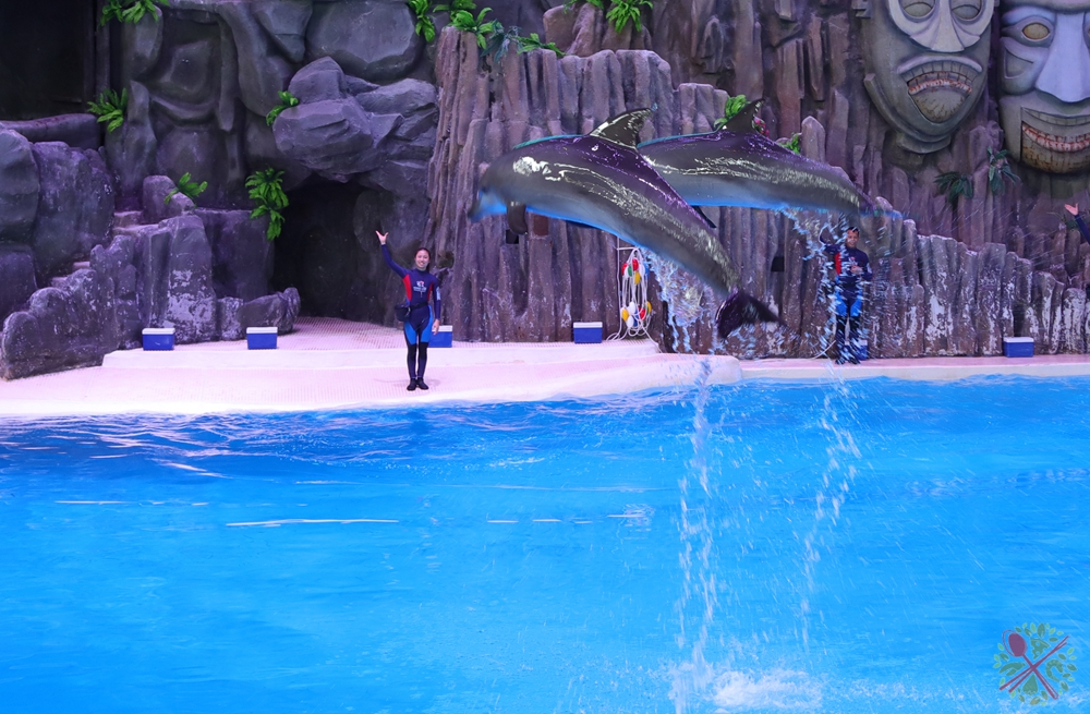 珠海长隆海洋王国企鹅三天两晚,珠海长隆海洋王国企鹅北极熊