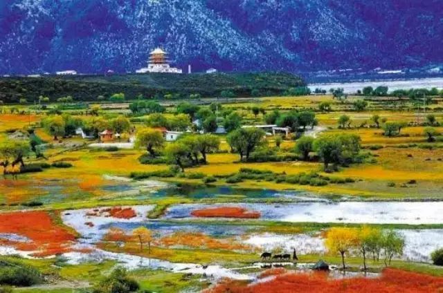 中国最美高速拉林公路,拉林高速为什么不收费