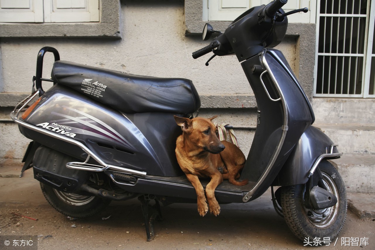 弯梁摩托车长处,弯梁摩托车优势与劣势