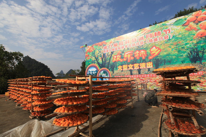 十月秋香，恭城人民带你品沙柚、尝月柿、喝油茶、逛文武庙周渭祠