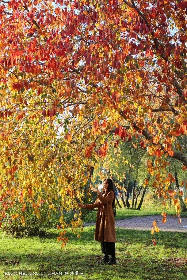 哈尔滨隐藏的景点伏尔加庄园,哈尔滨国庆节去哪里