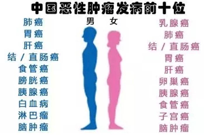 攻克癌症诺奖,诺奖得主骗局揭秘