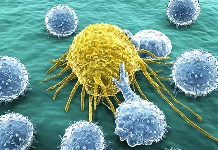 诺贝尔医学奖得主揭露惊人真相,治愈癌症获得诺贝尔奖