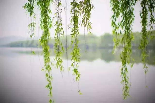 出去人从众,玄武为你安排了身边的风景