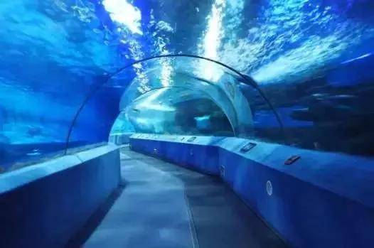 出去人从众,玄武为你安排了身边的风景