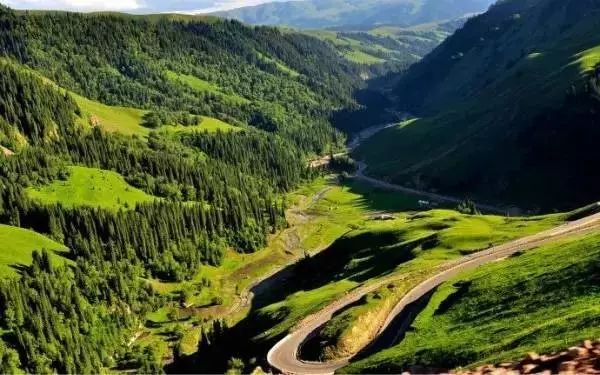 适合带着去旅行的宠物,宠物旅行攻略如何带宠物出门旅游