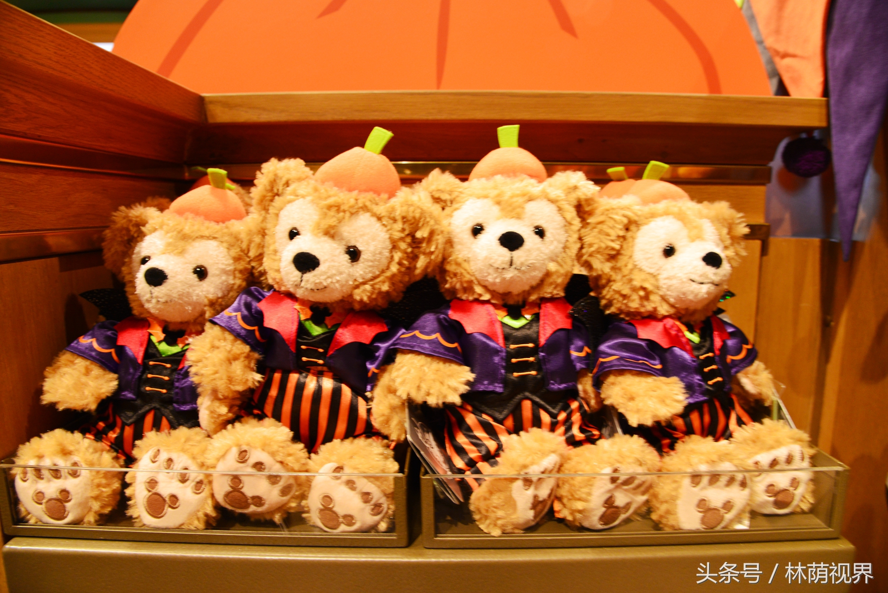 上海深度一日游,浦东金桥镇一日游