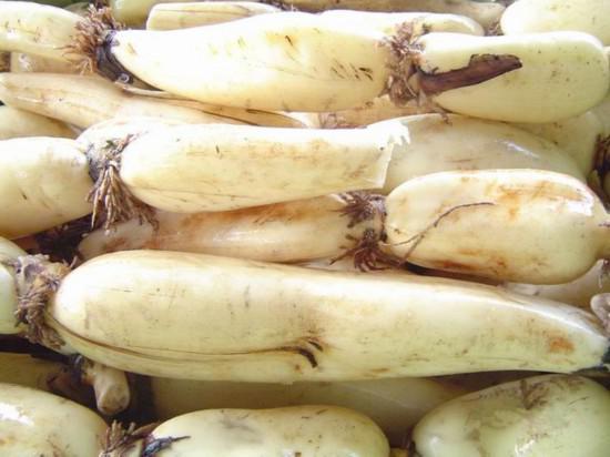 醋溜藕片用白醋好还是用陈醋好吃,醋溜藕片的正确做法