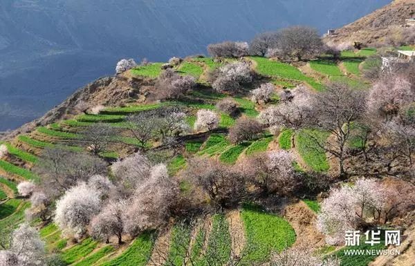 2016年国家级美丽乡村示范村名单,第一批全国100个美丽乡村名单