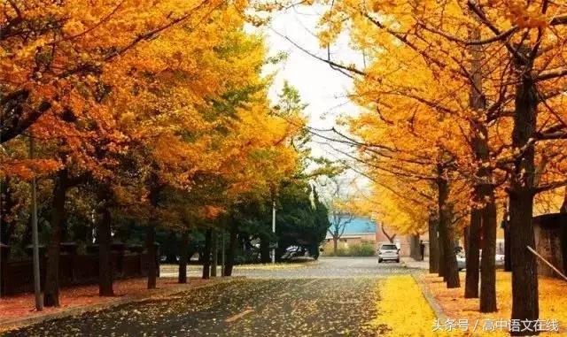 有关成语辨析的高考题,高考易混淆易错的成语100个