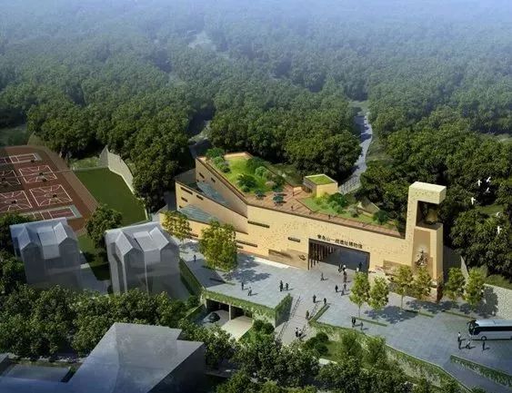 青岛哪个博物馆最值得一去,青岛博物馆最值得去的地方