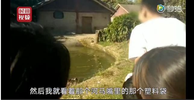 卑劣的街头喂河马,塑料袋放进河马嘴里