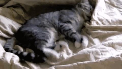 来温江区,温江耍朋友去哪里玩