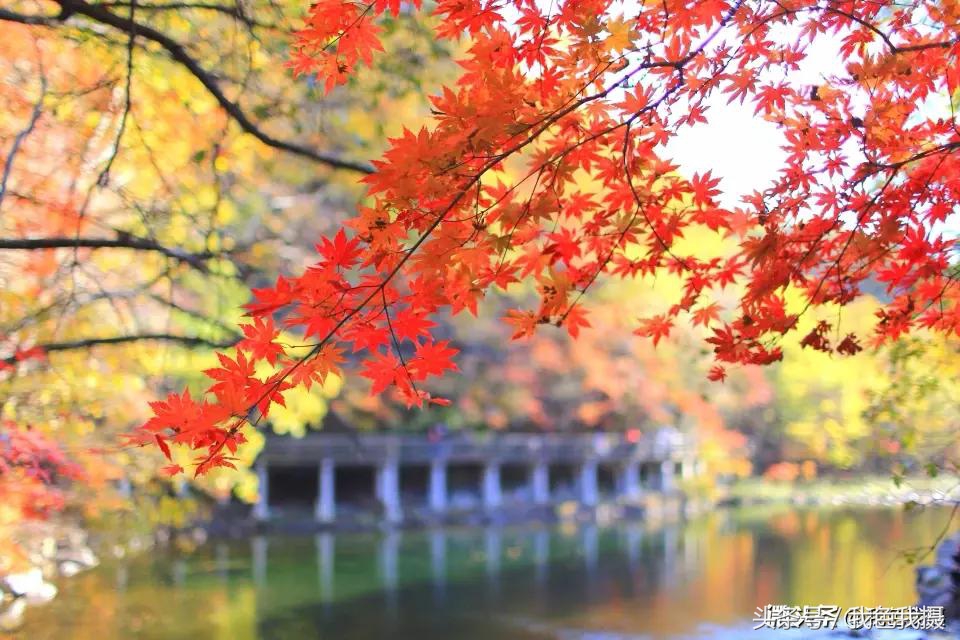 佳能ef35mm1.4l一代,置换佳能5d3