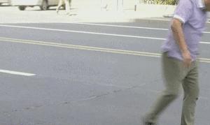 花大姐是外来入侵物种吗,花大姐来东北