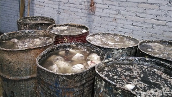 农村十大致富项目投资,农村最快的致富项目