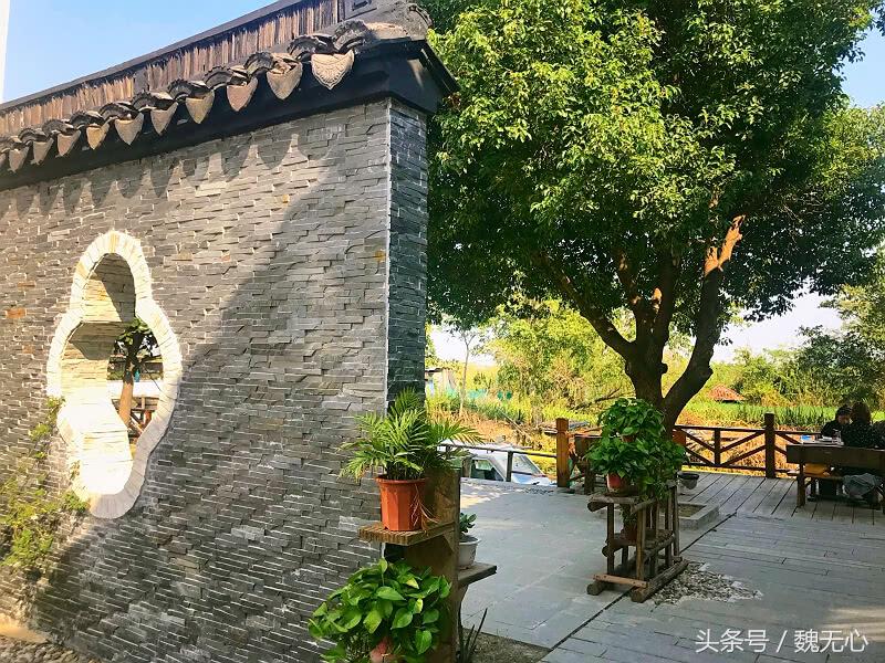 晚上去阳澄湖吃大闸蟹旅游攻略,去阳澄湖吃大闸蟹和游玩攻略