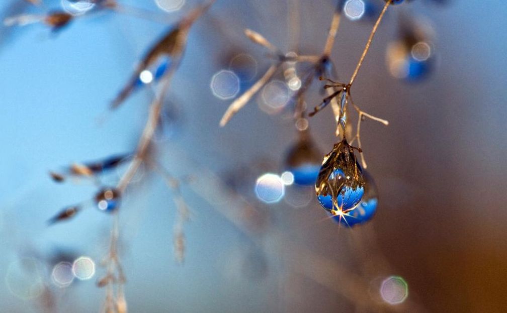 寒露古诗词名句,古诗寒露七言诗句