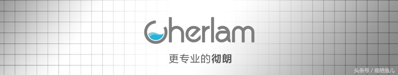 地图鱼的饲养方法与注意事项,地图鱼饲养注意事项大全