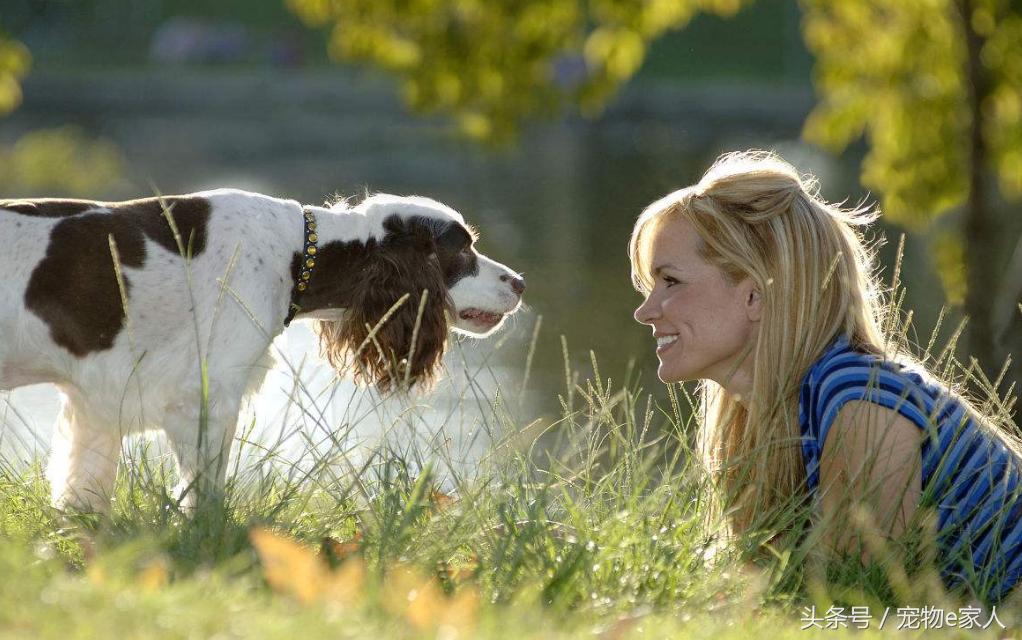 为什么给狗狗做体外驱虫,为什么给狗狗驱虫了还是频繁挠痒