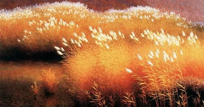 秋风起芦花飞起满天霜,诗词鉴赏秋风起芦花飞