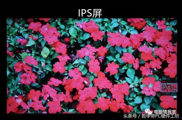 va144hz跟tn144差距有多大,144hzva和tn的区别