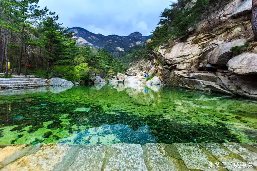 威海赏樱最佳打卡地,威海几月份去风景最好看