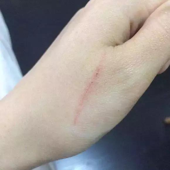 福懋动物医院好不好,福懋动物医院有疫苗打吗