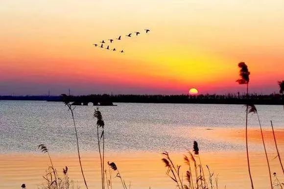 南沿江高铁南京段何时启动建设,沿江高铁南京到上海多少小时