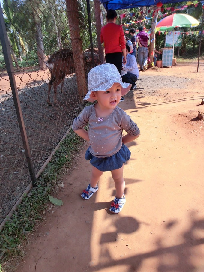 全家人三亚旅游,全家人游海南三亚旅行照片