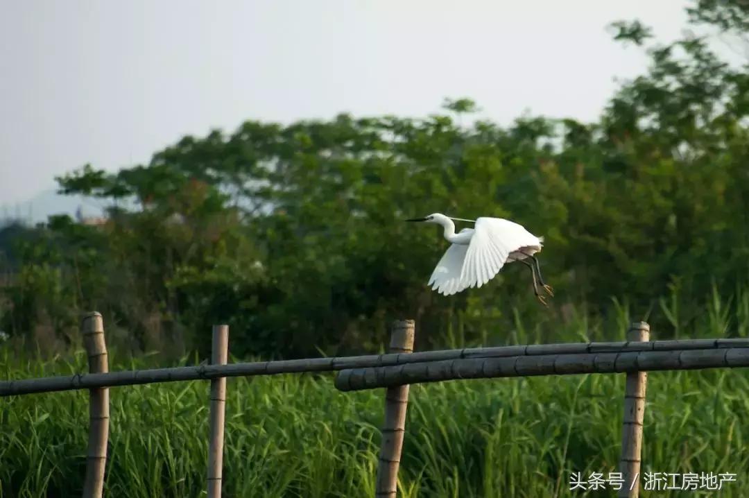 莫干山的“谿”字田又熟了，133㎡精装小独栋也来了！静绝尘氛！