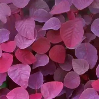 当男朋友和口红同时掉进水里,口红掉进水里了有用吗