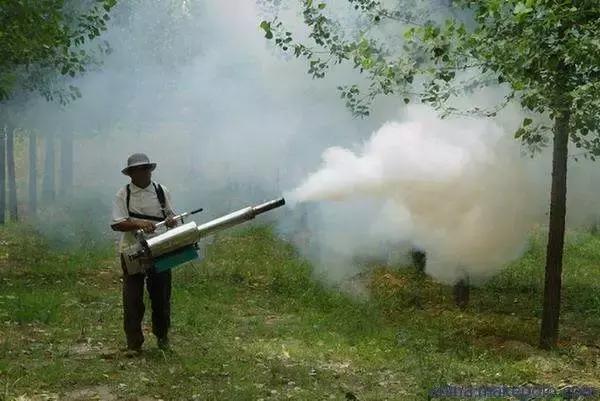 果树常用农药大全,果树常用农药