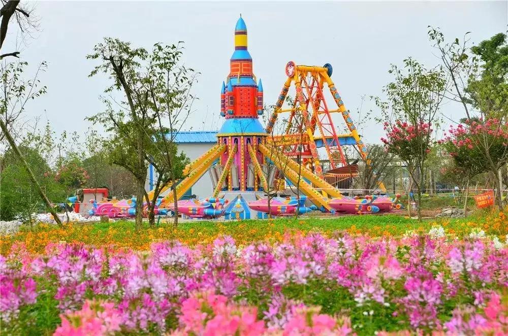 金秋十月走进花海,同心花海金秋旅游节