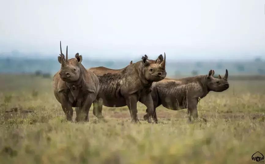 深扒完中国锦鲤的免费旅行清单之后,我也没有那么羡慕了哼!