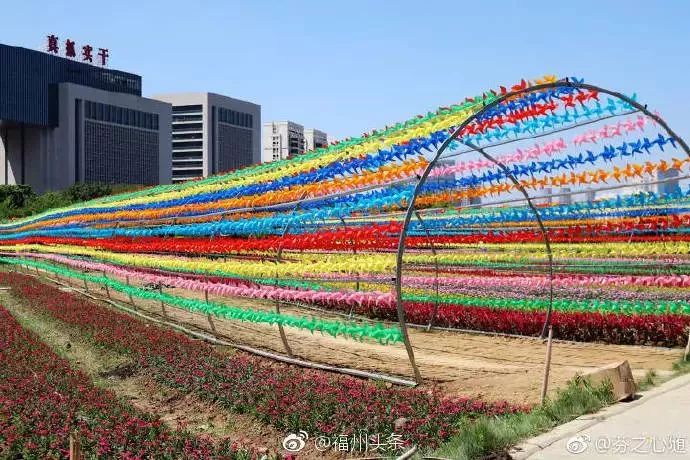 工资新标准将下发你在其中吗 (你的10月份工资条有啥新变化)