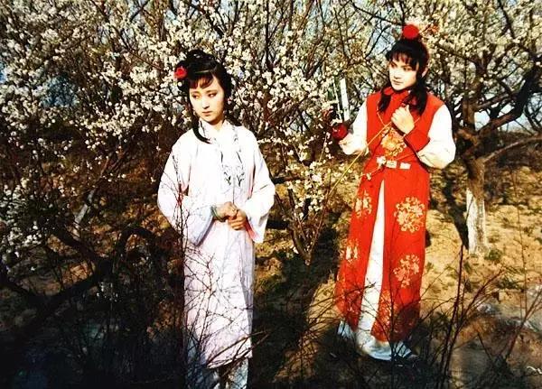 红楼梦袭人名字含义,红楼梦人物名称隐藏含义