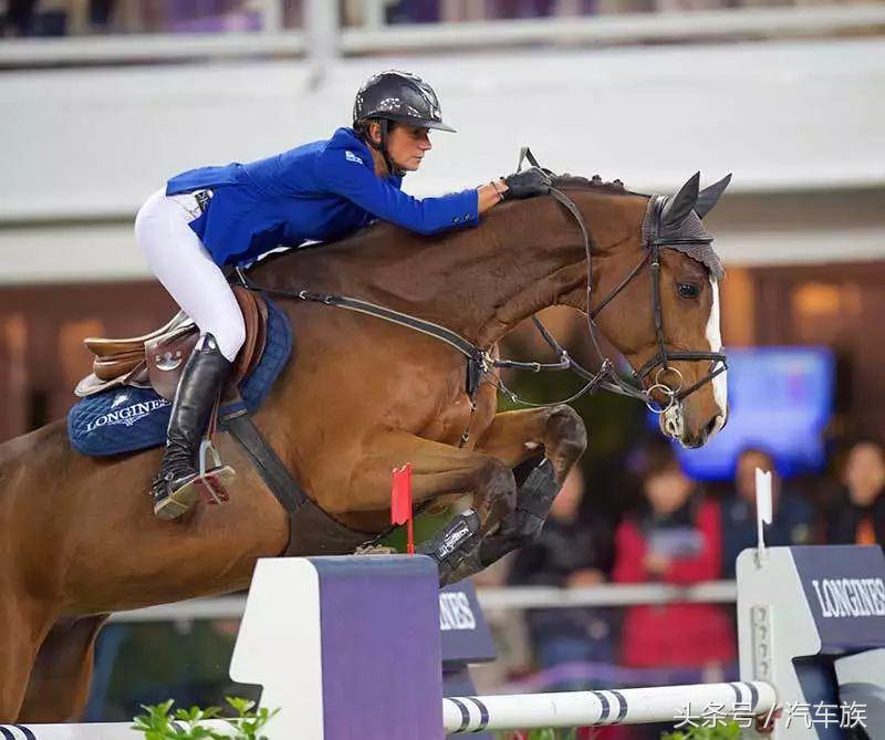 大师赛喊你来吃马术圈最贵狗粮