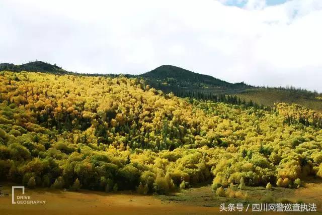 驴友非法穿越被困3天，烧内衣裤求救！理塘百余警民40多个小时冒雪搜救助其脱险……