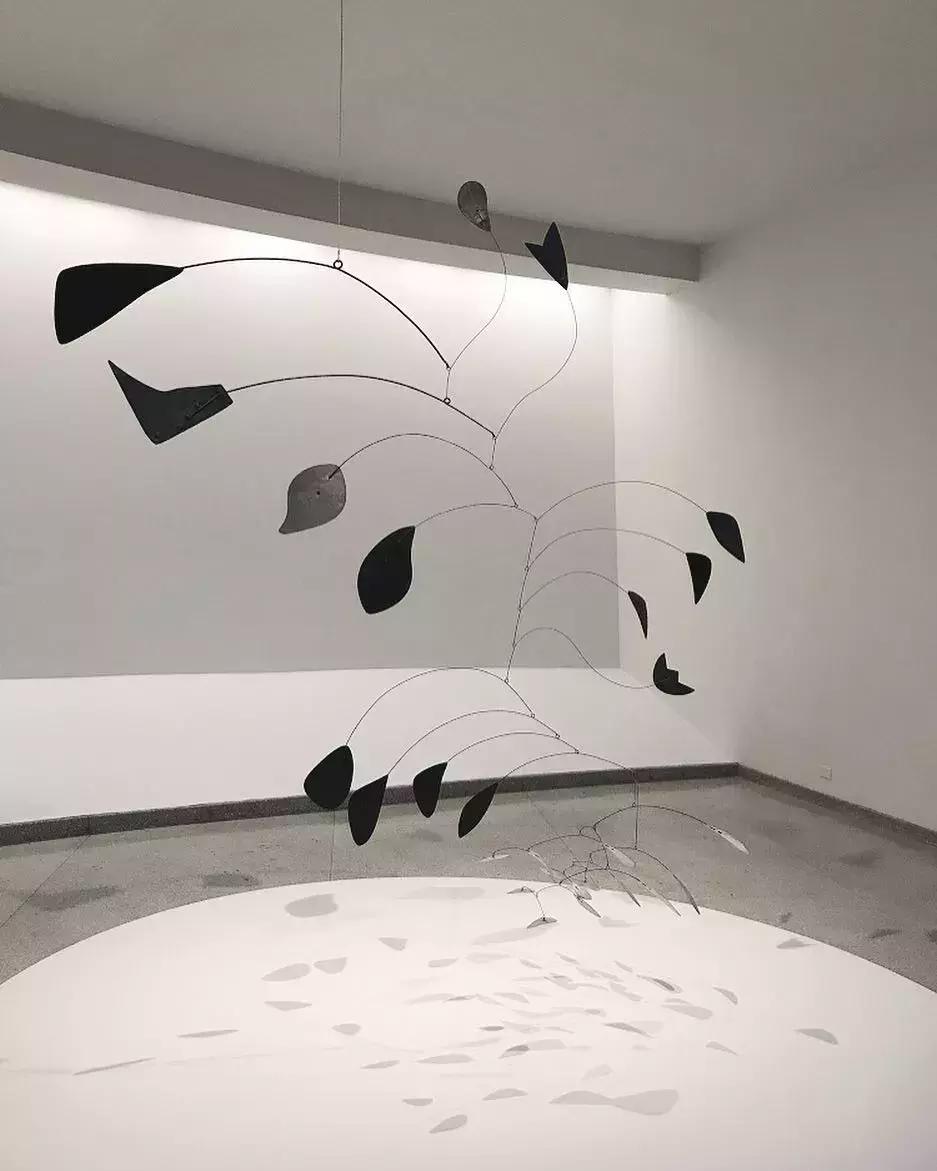 日本富豪免费招募月球之旅,日本富豪去月球