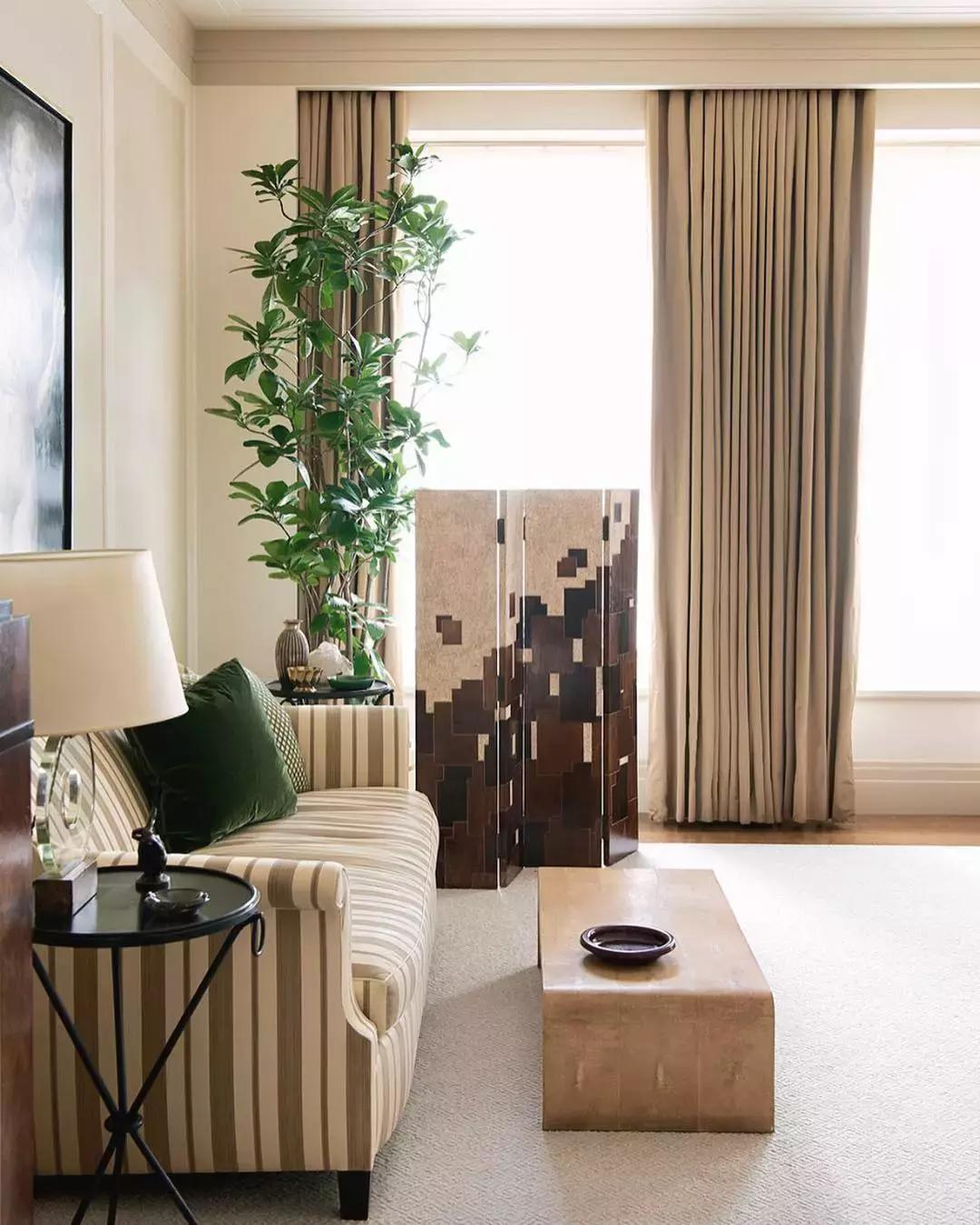 日本富豪免费招募月球之旅,日本富豪去月球