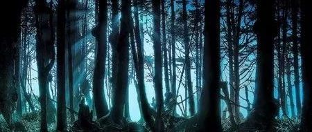 何凯文拥有220万粉丝,何凯文公众号