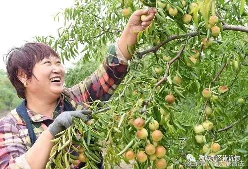 全域旅游河北,沧州渤海新区旅游免费海边