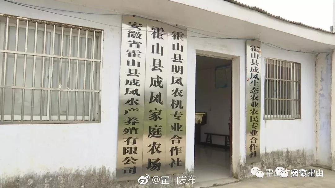 稻田养虾的优势和缺点,稻田养虾令人担忧的原因