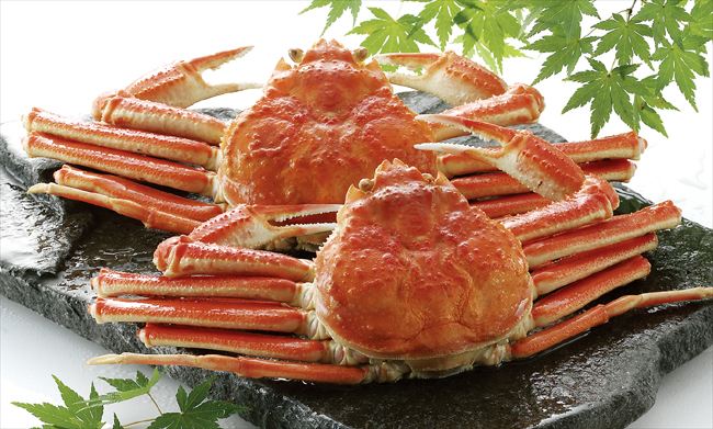 正宗邑城海鲜市场,邑城海鲜在哪里