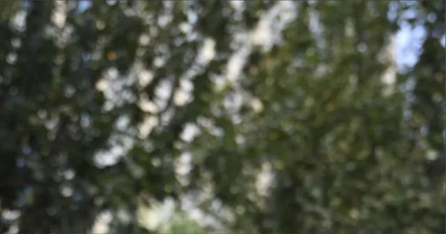 尼康z30挂机头推荐,尼康z系列挂机头推荐