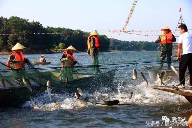 信阳市南湾湖景区好玩吗,信阳南湾湖是5a景区吗