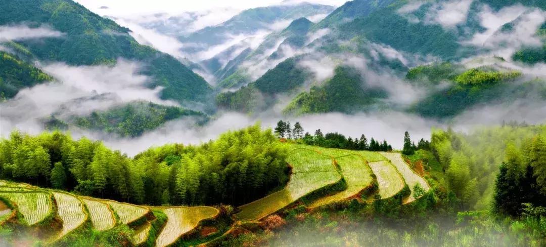 浙南绝美秘境,浙南生态秘境自驾