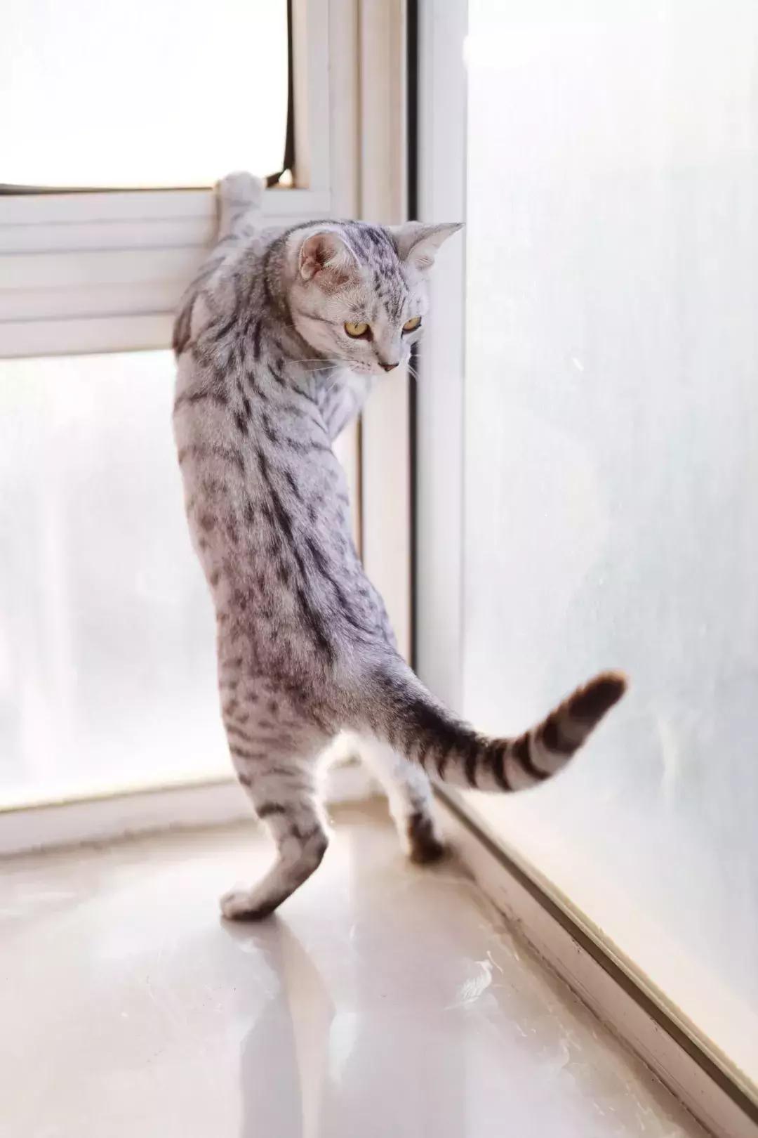 佳能rf50mmf1.4最新消息,佳能rf50mmf1.8如何正确使用